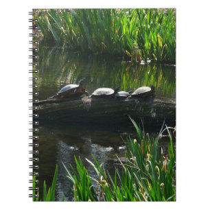 Carnet Rangée de tortues photo de nature verte