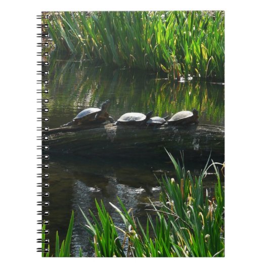 Carnet Rangée de tortues photo de nature verte (Devant)