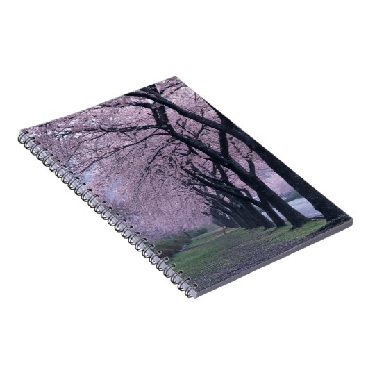 Carnet Rangée des arbres de cherryblossom (Côté Droit)