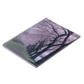 Carnet Rangée des arbres de cherryblossom (Côté gauche)