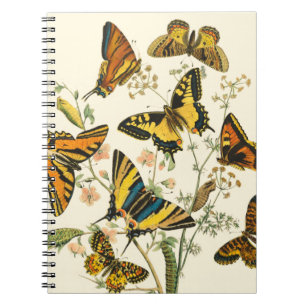 Carnet Rassemblement coloré des papillons et des