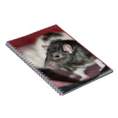 Carnet Rat (Côté Droit)