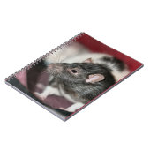 Carnet Rat (Côté gauche)