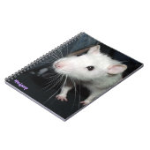 Carnet rat amical (Côté gauche)