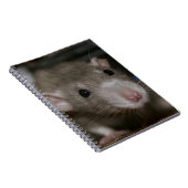 Carnet Rat curieux (Côté Droit)