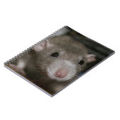 Carnet Rat curieux (Côté gauche)