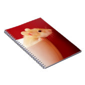 Carnet Rat de bébé (Côté Droit)