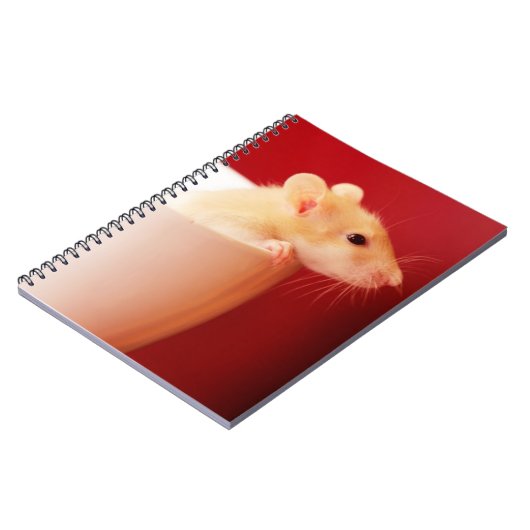 Carnet Rat de bébé (Côté gauche)