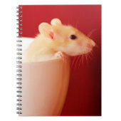 Carnet Rat de bébé (Devant)