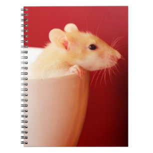 Carnet Rat de bébé