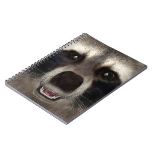 Carnet Raton laveur