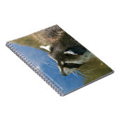 Carnet Raton laveur (Côté Droit)