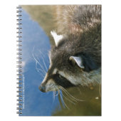 Carnet Raton laveur (Devant)