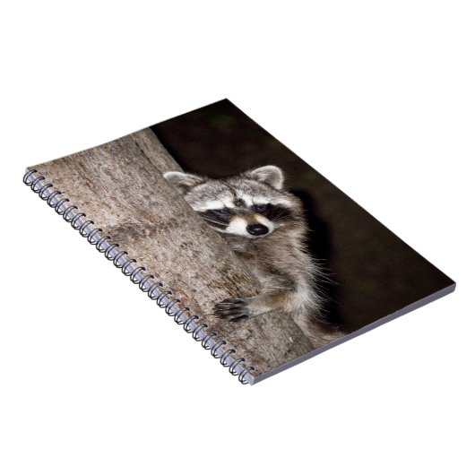 Carnet raton laveur (Côté Droit)