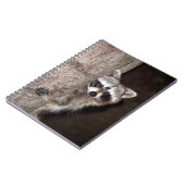 Carnet raton laveur (Côté gauche)