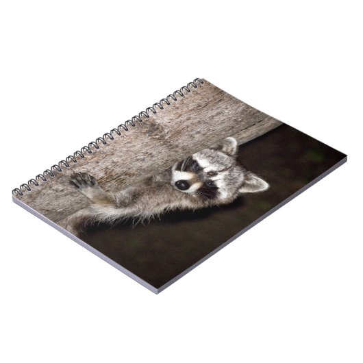 Carnet raton laveur (Côté gauche)