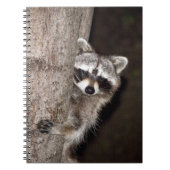 Carnet raton laveur (Devant)