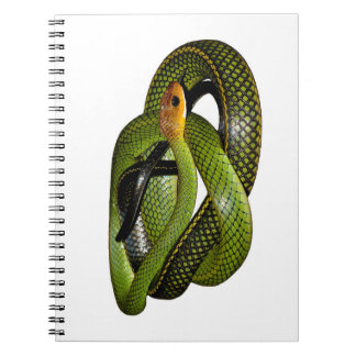 Carnet Ratsnake Noir-mis en marge ou serpent de rat vert