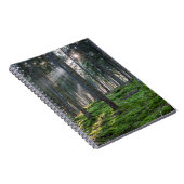 Carnet Rayons de soleil dans la Forêt-Noire (Côté Droit)