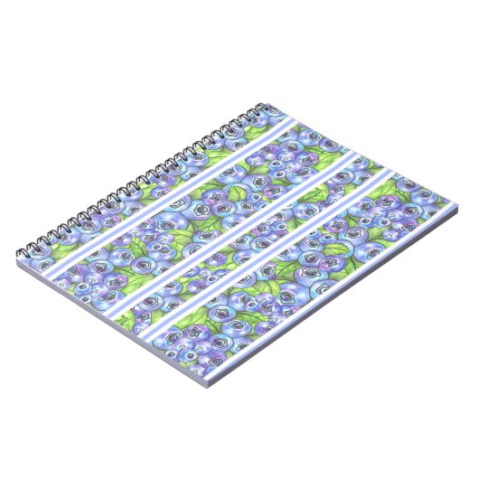 Carnet rayures de bleuets (Côté gauche)