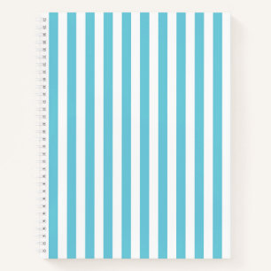 Carnet Rayures verticales classiques bleu clair et blanc