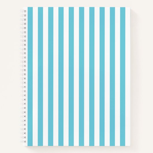 Carnet Rayures verticales classiques bleu clair et blanc (Devant)
