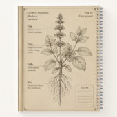 Carnet recetario botanico (Dos)