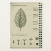 Carnet recetario botanico (Verso)