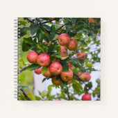 Carnet Recette de sauce pomme (Devant)