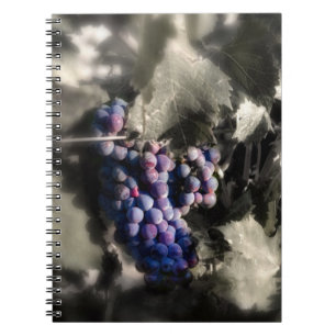 Carnet Récolte au vignoble principal de Tefft Cellars