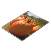 Carnet Récolte citrouille (Côté gauche)