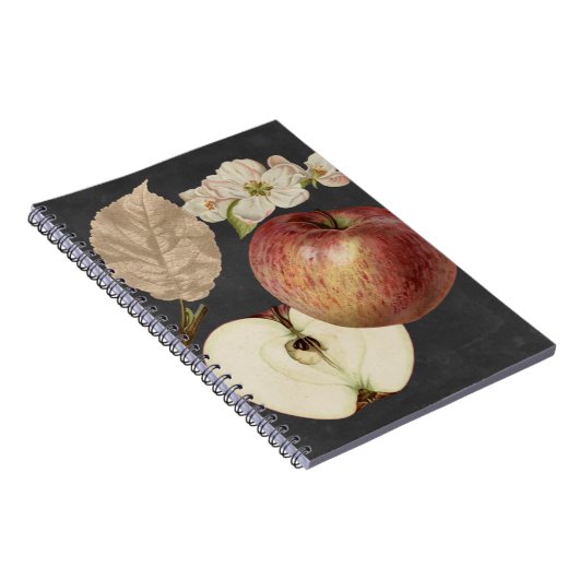 Carnet Récolte de minuit II (Côté Droit)