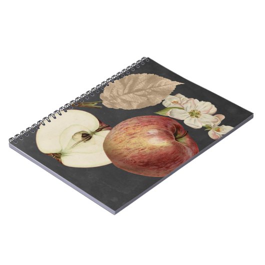 Carnet Récolte de minuit II (Côté gauche)