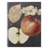 Carnet Récolte de minuit II (Devant)