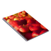 Carnet récolte de pommes (Côté Droit)