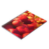 Carnet récolte de pommes (Côté gauche)
