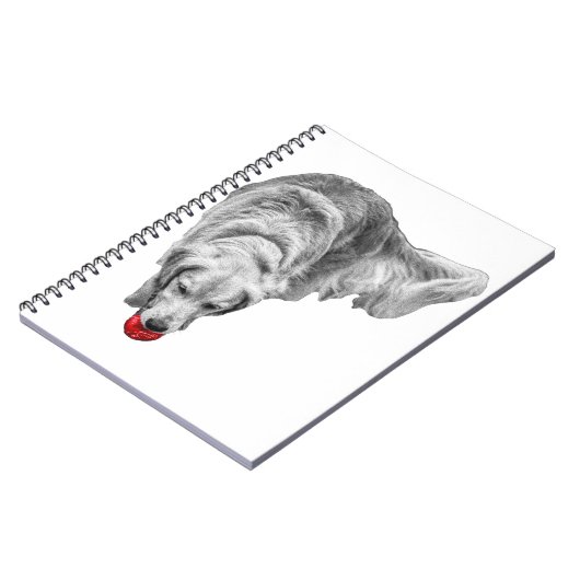 Carnet Récolter les réflexions des membres (Côté gauche)