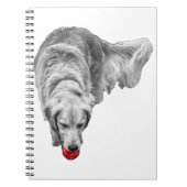 Carnet Récolter les réflexions des membres (Devant)