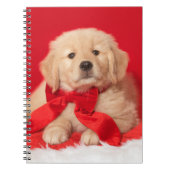 Carnet Red Bow (Devant)