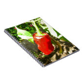 Carnet Red Capsicum (Côté Droit)