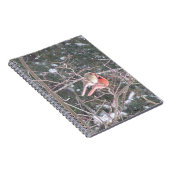 Carnet Red Cardinal Bird (Côté Droit)