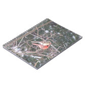 Carnet Red Cardinal Bird (Côté gauche)