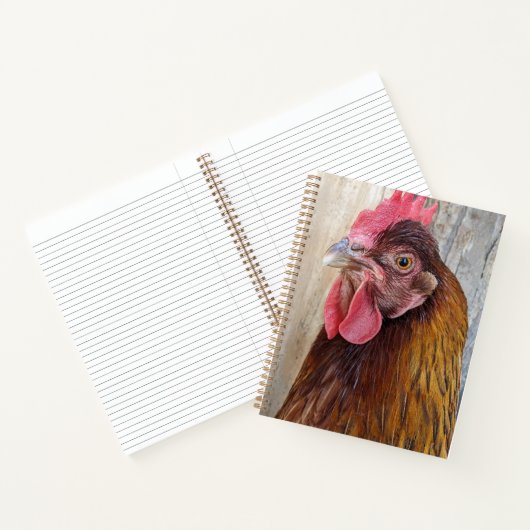 Carnet Red Chicken Hen Photo (Intérieur)