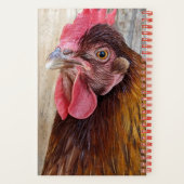 Carnet Red Chicken Hen Photo (Verso)