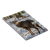Carnet Red Deer en neige (Côté Droit)