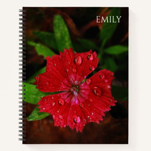 Carnet Red Dianthus Flower & Raindrops Photo, Nom Personn (Devant)