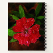 Carnet Red Dianthus Flower & Raindrops Photo, Nom Personn (Dos)