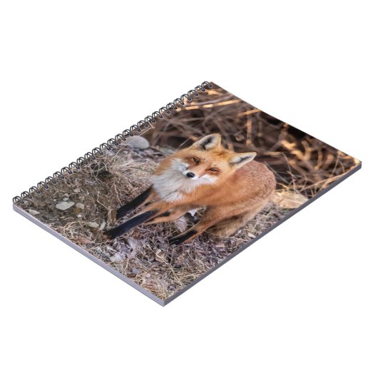 Carnet Red Fox de près et personnel (Côté gauche)