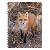 Carnet Red Fox de près et personnel (Devant)