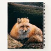 Carnet Red Fox dormant (Dos)
